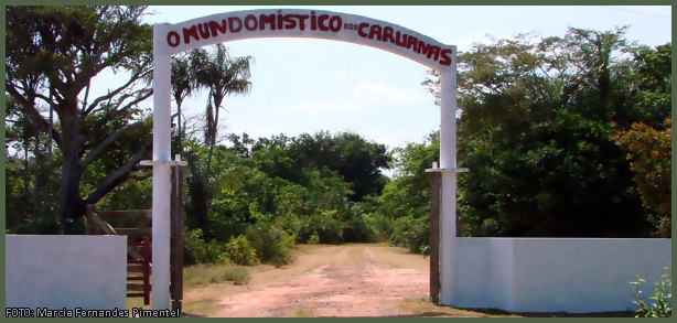 A INSTITUIÇÃO CARUANAS A INSTITUIÇÃO CARUANAS
